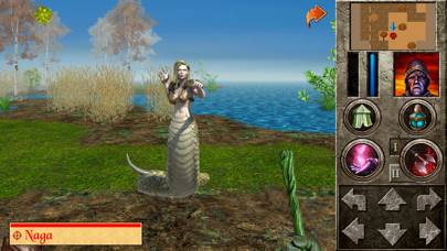 The Quest game screenshot