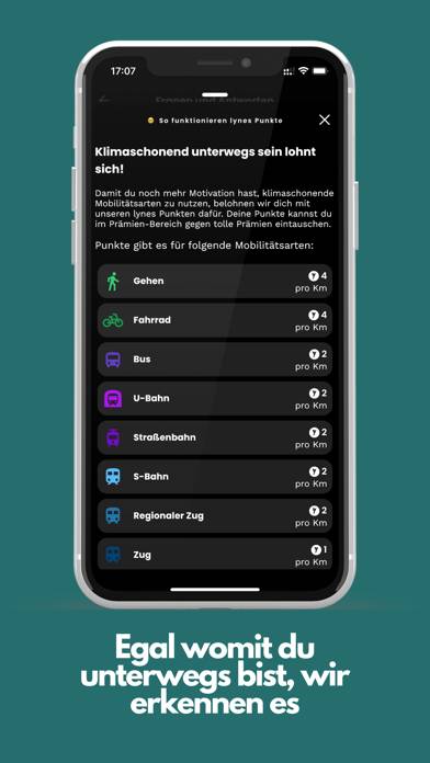 Lynes App-Screenshot #3