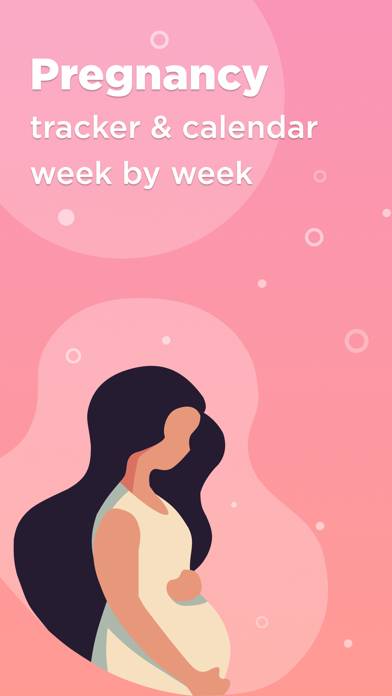Embarazo semana a semana +