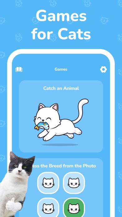 Cat Simulator Captura de pantalla de la aplicación #1