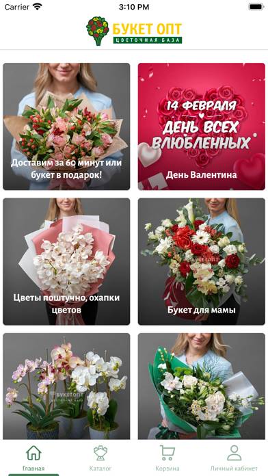 Букетопт - доставка цветов Скриншот