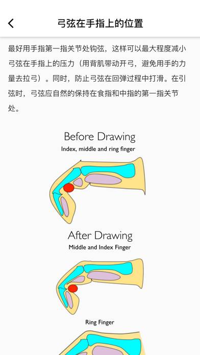 金教练射箭教学 Capture d'écran de l'application