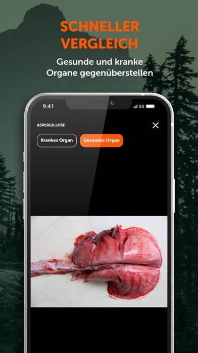 Wildkrankheiten erkennen App-Screenshot #5