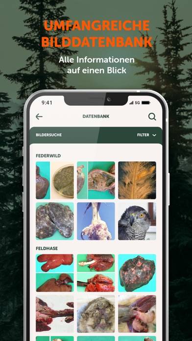 Wildkrankheiten erkennen App-Screenshot #6