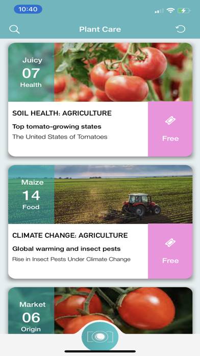 Tomato Diseases Identification App screenshot #1