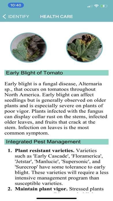Tomato Diseases Identification Schermata dell'app #4