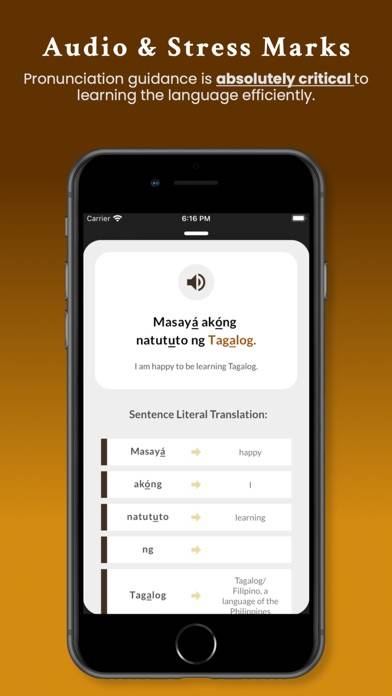 TDC Tagalog Dictionary App screenshot