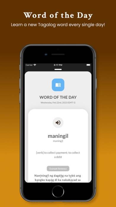 TDC Tagalog Dictionary App skärmdump