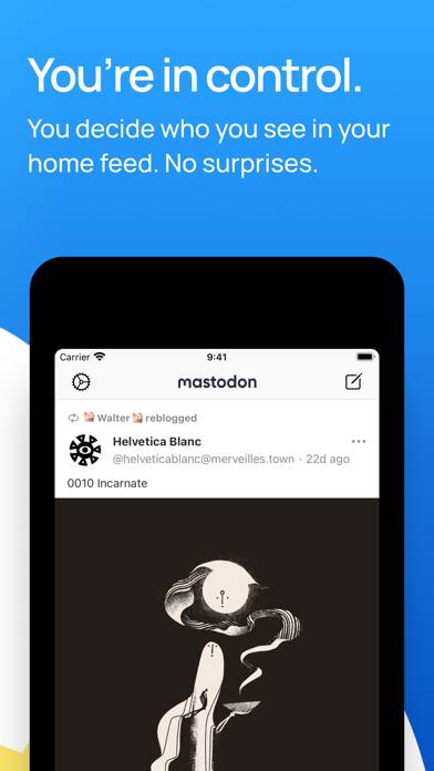 Mastodon Captura de pantalla de la aplicación #3