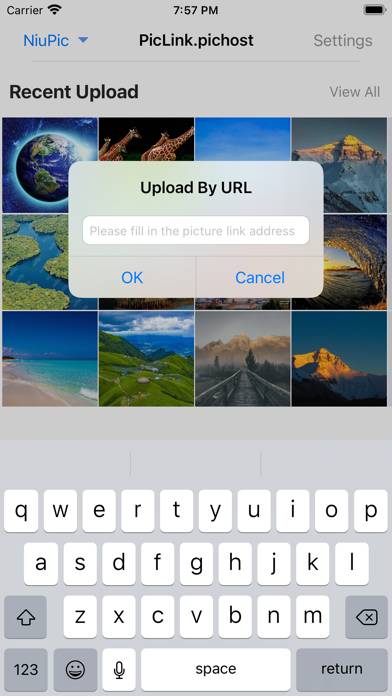 PicLink-Best image Hosting App Capture d'écran de l'application