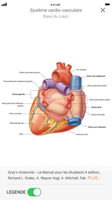 SurviveMed Capture d'écran de l'application