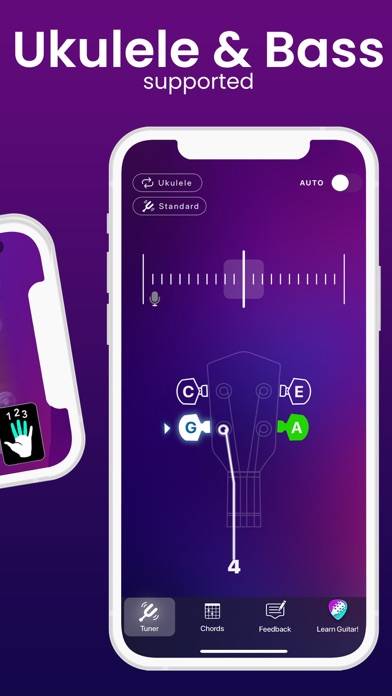 Guitar Tuner Captura de pantalla de la aplicación #5