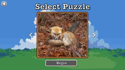 Photo Puzzle Snap captura de pantalla del juego
