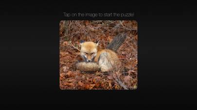 Photo Puzzle Snap captura de pantalla del juego