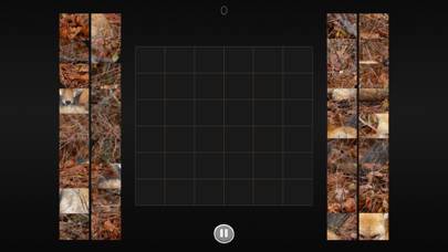 Photo Puzzle Snap captura de pantalla del juego