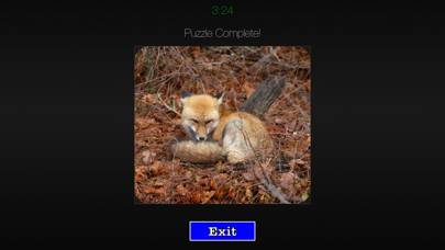 Photo Puzzle Snap captura de pantalla del juego