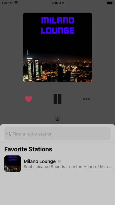 Tuner Radio Player App screenshot #2