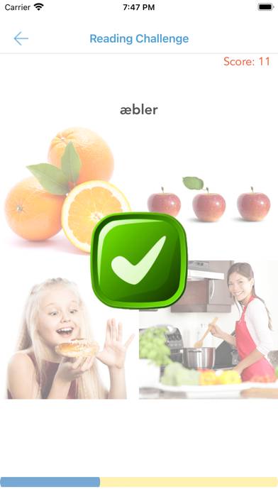 Danish for Beginners & Kids App screenshot #6