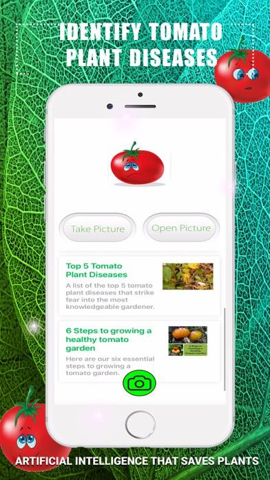 Identify Tomato Plant Diseases Schermata dell'app #1