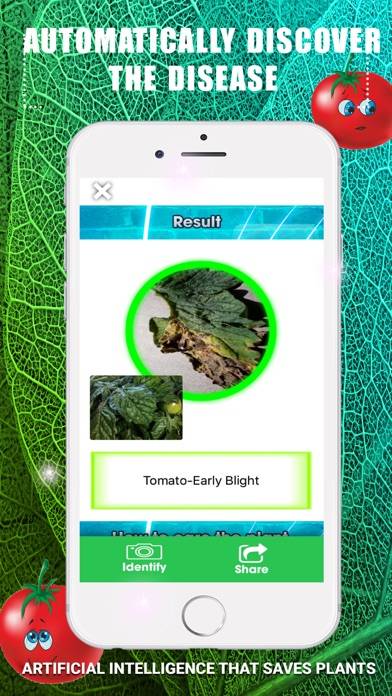 Identify Tomato Plant Diseases Captura de pantalla de la aplicación #3