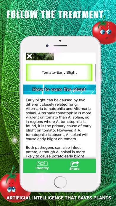 Identify Tomato Plant Diseases Schermata dell'app #4