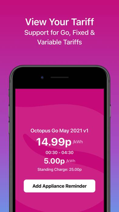 Octopus Energy Watcher App screenshot #1