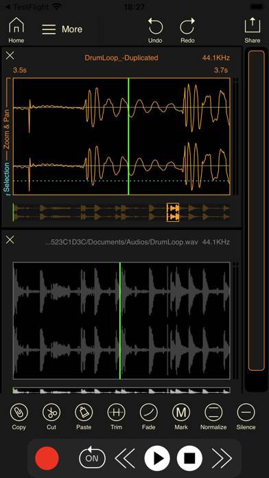 Wavebox Audio Editor captura de pantalla #3