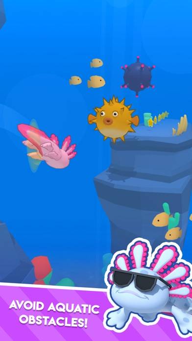 Axolotl Rush App screenshot #3