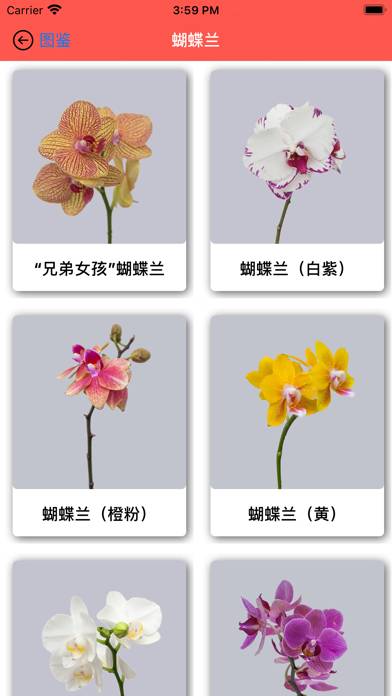 Galsang Flower App screenshot #3