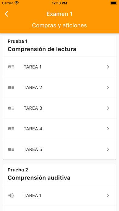 DELE B1 Spanish Captura de pantalla de la aplicación #2
