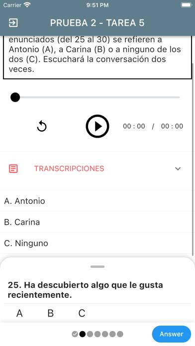 DELE B1 Spanish Captura de pantalla de la aplicación #5