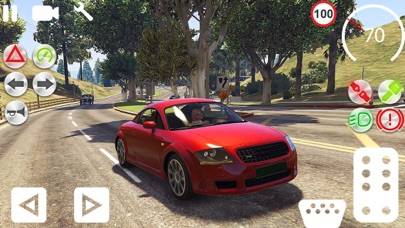 Car Parking & Driving Sim 21 Schermata dell'app #2