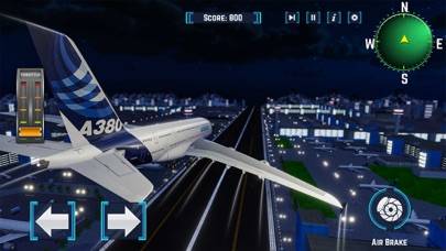 Passenger Airplane Flight Sim Schermata dell'app #5