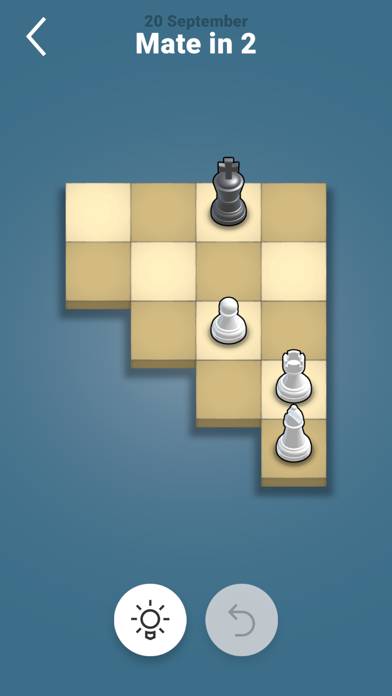 Pocket Chess App skärmdump #3