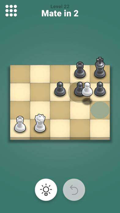 Pocket Chess App skärmdump #5
