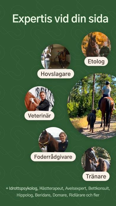 HayHay: För häst & ridning App skärmdump #3