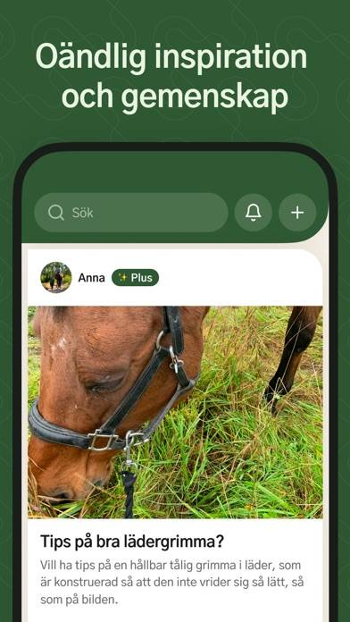 HayHay: För häst & ridning App screenshot #6