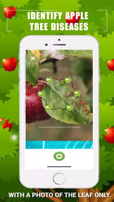 Identify Apple Tree Diseases Schermata dell'app #2