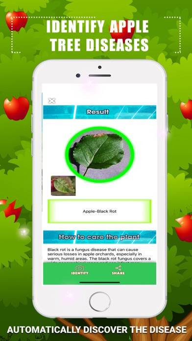 Identify Apple Tree Diseases Schermata dell'app #3