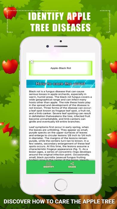 Identify Apple Tree Diseases Schermata dell'app #4