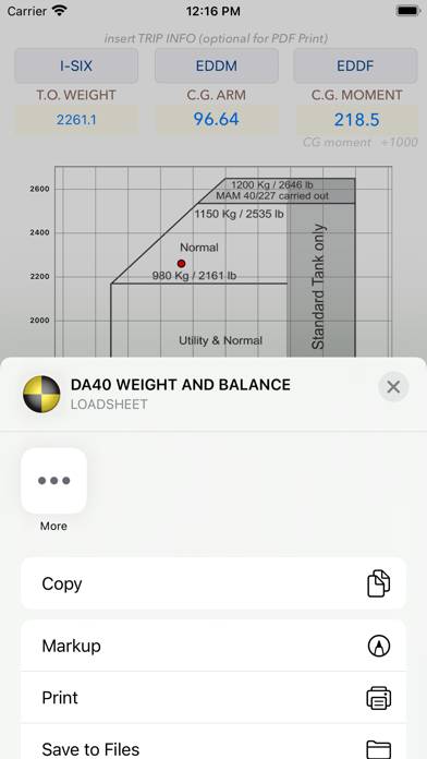 DA40 M&B mobile App screenshot #4