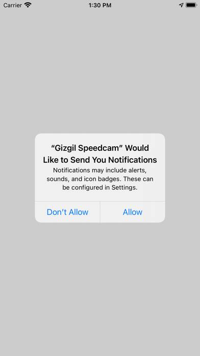 Gizgil Speedcam App screenshot #3