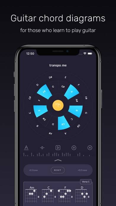 Chord Shifter by Transpo App-Screenshot #5