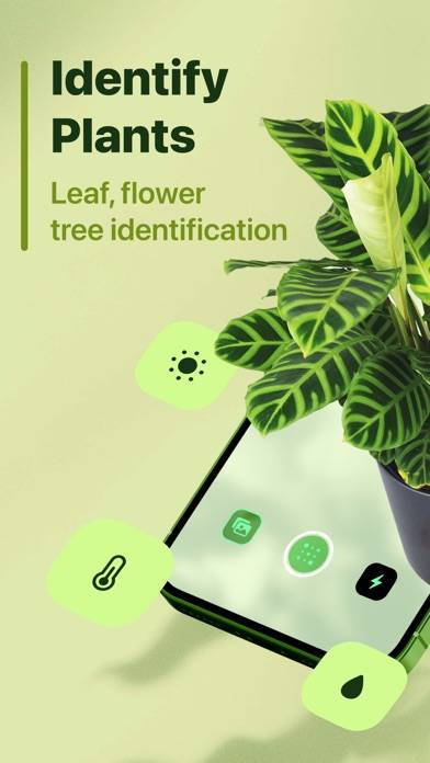 Leaf Identification App-Screenshot #1