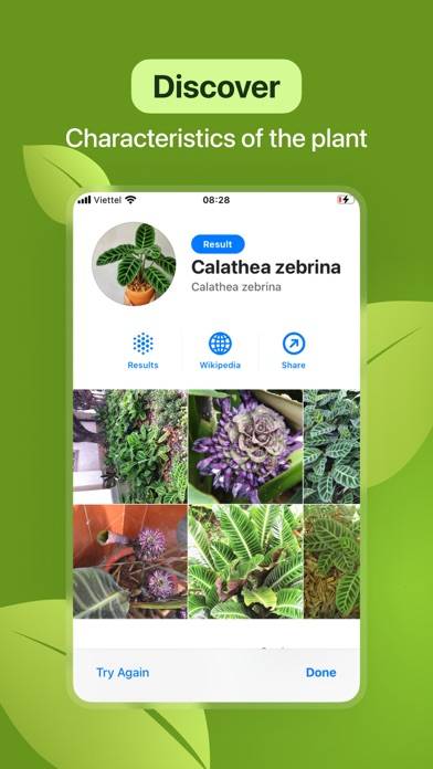 Leaf Identification App-Screenshot #3