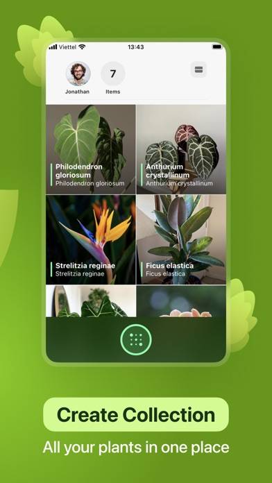 Leaf Identification App-Screenshot #4