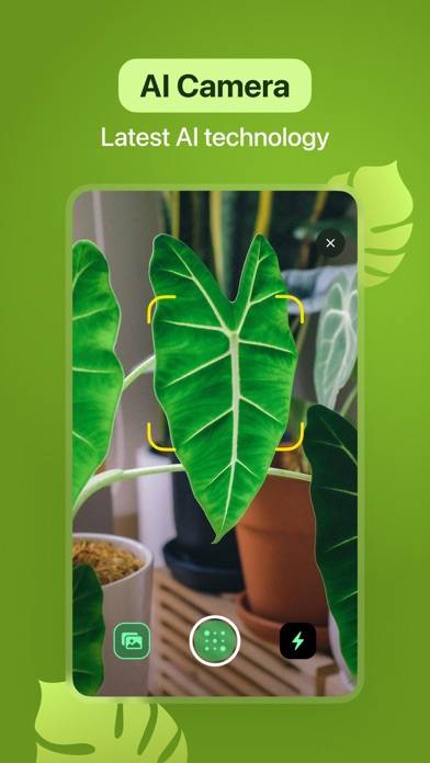 Leaf Identification App-Screenshot #5