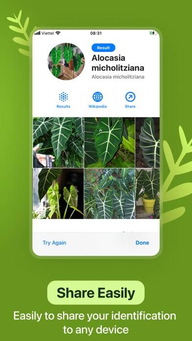 Leaf Identification App screenshot #6