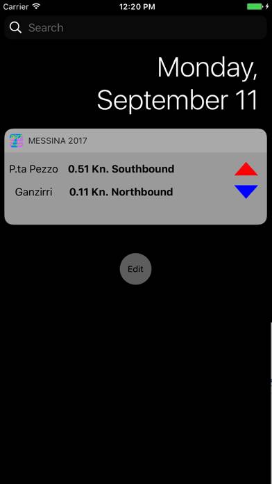 Messina Strait Current 2022 App screenshot #5