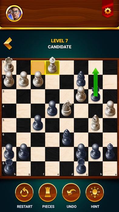 Chess Скриншот приложения #5
